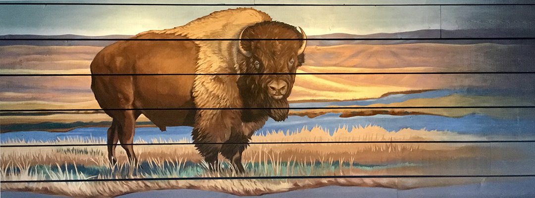 Buffalo